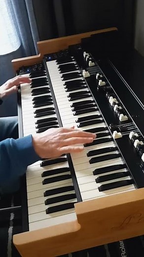 GREEN ONIONS ORGAN JAM #Shorts