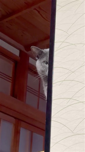 振り返れば大体