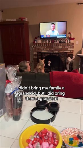 Ellie🐱 on Instagram: "And they come potty trained #cats"