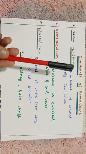 Components of Homeostasis | Key Parts Explained Easily