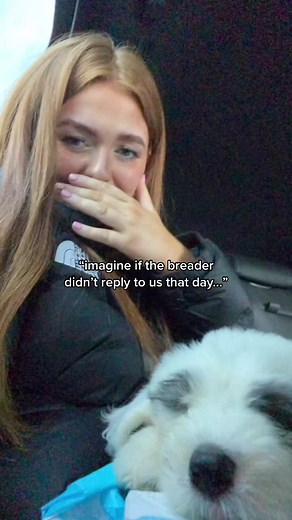 NAH CRYING ILY BOBS UR MY FAVE PERSON IN THE WORLD🤍✨ #fyp #puppy