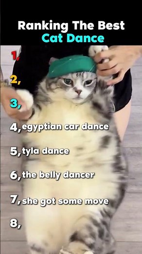 Ranking The Best Cat Dance