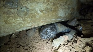 They found him wedged 300 feet down behind a battery plant