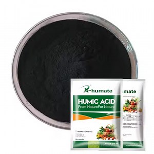 [Hot Item] Insoluble Humic Acid Powder/Granule/Ball Organic Fertilizer