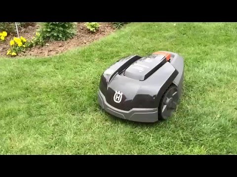 Husky the Husqvarna 105 Automower