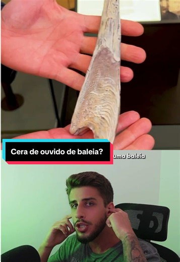 Cera de Ouvido das Baleias: Curiosidades Científicas