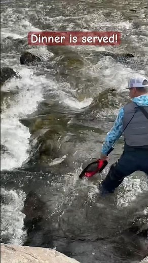 Catching rainbow trout in Idaho backwaters!