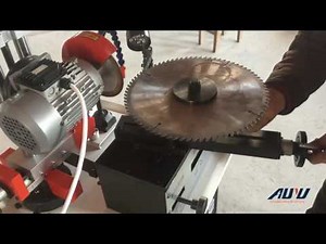 Gear Grinding Machine/Circular Saw Blade Grinder