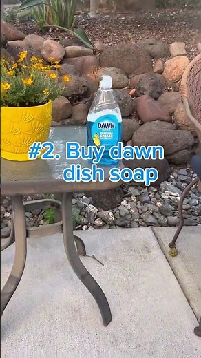 How to start a trash cans cleaning business#fyp #viral #cleaning #motivation