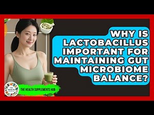 Why Is Lactobacillus Important for Maintaining Gut Microbiome Balance? - The Health Supplement Hub