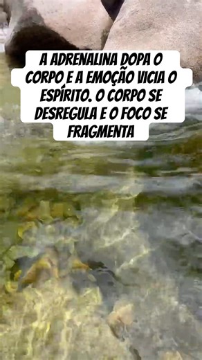 #narcissist #toxicrelationships #gratitude #narcisista #relacionamentonarcisista #gratidão