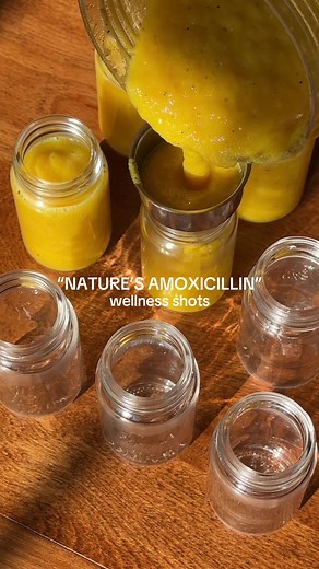 Nature's Amoxicillin Wellness Shots Recipe