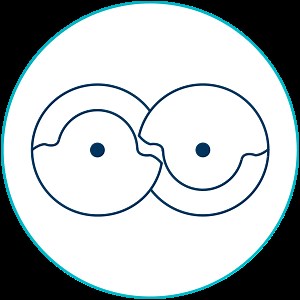 Screw Compressors | Becker Pumps