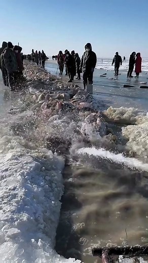 Winter Fishing Adventures on Frozen Lakes