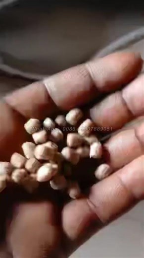 Client spoke highly of floating type fish feed extruder machine #fishfeedmachine #fishfeed