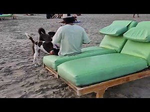 😲 CAN YOU HANDLE THIS? | LIVE COPACABANA BEACH WALK 4K HDR | rio de janeiro beaches