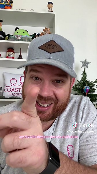 #25top25amusementparklists Top 25 Classic Ride Types @Roller Coaster Podcast #woodenrollercoaster #carousel #ferriswheel #train #bumpercars #darkride #coastercuzzies