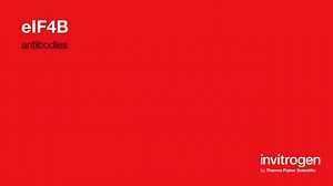 eIF4B antibodies from Thermo Fisher Scientific