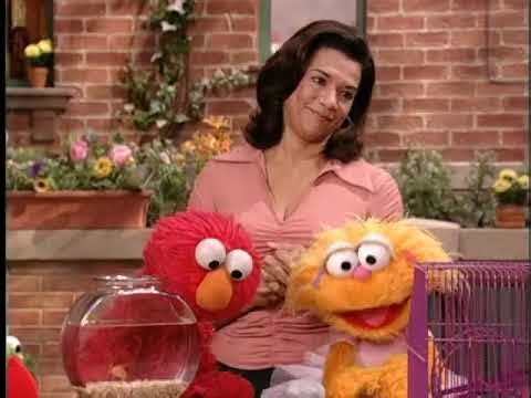 LX Productions DLC Home Entertainment/Pets Presents: Sesame Street:Best Pet in the World