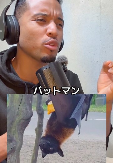 フィリピンの怪物「オオコウモリ」がデカすぎる🦇😱🤣リアルバットマン #雑学 #動物 #コウモリ #フィリピン #衝撃映像