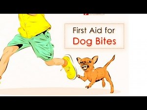 First Aid For Dog Bite || First Aid In Dog Bite