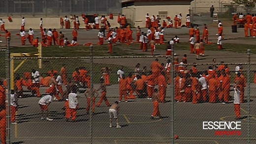 2K views · 77 reactions | In part II of our ESSENCE Reports...