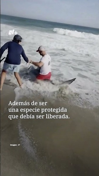 Este pescador atrapó un tiburón blanco por accidente