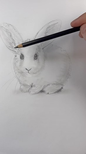 48K views · 1.2K reactions | Draw a rabbit  Easy drawing lesson for beginners on how to draw a rabbit. #drawinglesson #howtodraw | Mark Liam Smith | Facebook