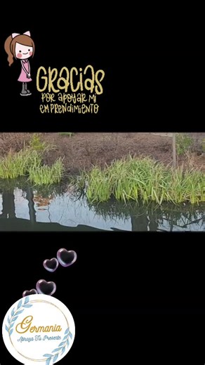 Germania - Abraza tu Presente (@germania.senoritas)’s videos with sonido original - FAMILY