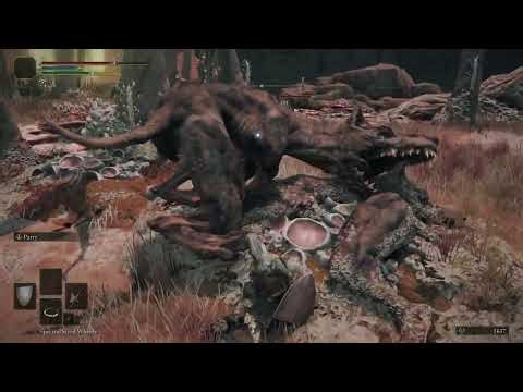 Tree Sentinel Destroyed (I'm Not Good at Games)