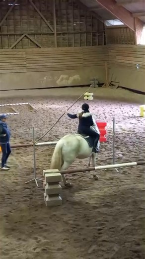 Travail deux reines dans une main…👌 | Cheval de Coeur