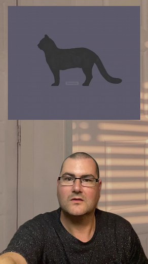 Hand Gestures and Expressions in Everyday Life