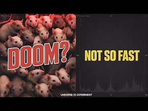 The Universe 25 Experiment Has Been Completely Misunderstood