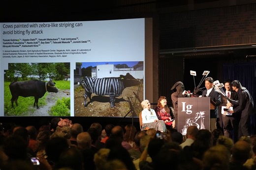 Ig Nobel Prizes Honor Fingernails, Painted Cows and Cacio e Pepe in a Celebration of Strange Science