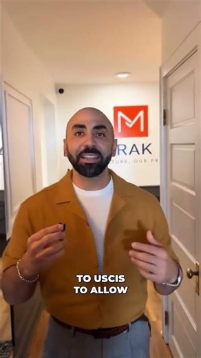 How We Saved an E 2 Visa After a Serious Error | Mubarak Law