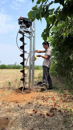 Orange Farming: How Trees Grow Fruit and We Dig the Future