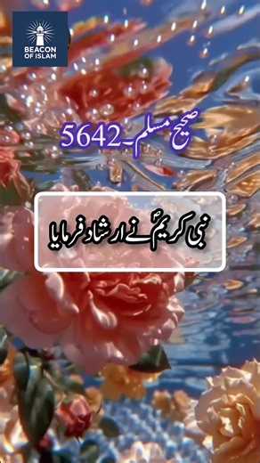 245K views · 27K reactions | Hadith in Urdu ✍️鹿 || Reels Hadees ||...