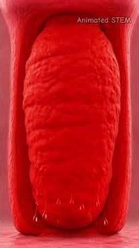 What Actually Happens During Food Poisoning? #animatedscience #animatedstem