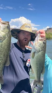 1.1M views · 21K reactions | What do you do to catch bass this time...
