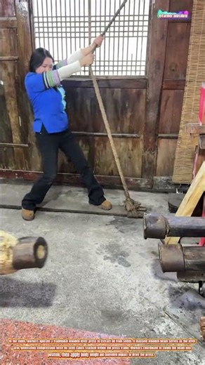 The Art of Traditional Wooden Lever Press Oil Extraction