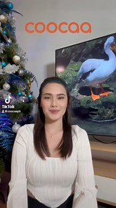 Coocaa Google TV isn't just a TV! It's a smart companion. With sizes ranging from 32 to 43 inches and full HD, it's your ticket to the Google-powered AI conversational future, along with exclusive eye protection features – all delivered by Coocaa TV. 📺🔮👁️ #CoocaaTV#CoocaaPH #CoocaaPhilippines #CoocaaNumberOne #HomeDecorPH #TVPH #fyp #TikTok | coocaa