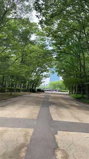 【歩けば、何かに出会える】休日の大阪城を散歩🏯