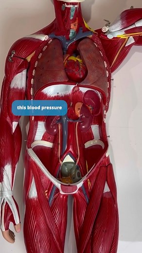 🚨Bilateral BPs in AAA?🚨 #paramedicstudent #emtstudent #emtschool #emt #emtlife #paramedic #paramedicschool #paramedicos #paramediclife #paramedicscience #paramedical #ems | Master Your Medics