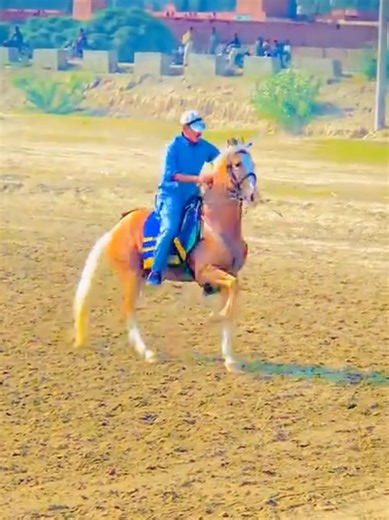 How to Apply Fake Tan on Your Face