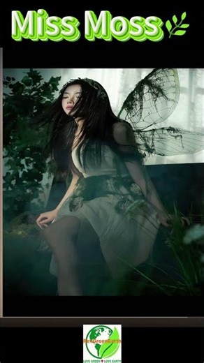 Moss Fairy Photoshoot ✨