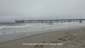 ANDROMEDAX_roughcut_JenniferGonzalez_050323