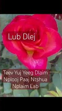 Poetry Of Love In Hmong