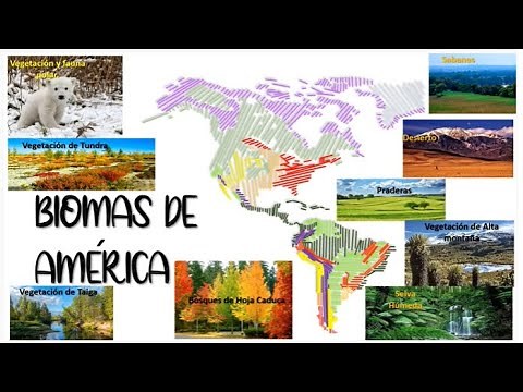Biomas de América. 2021