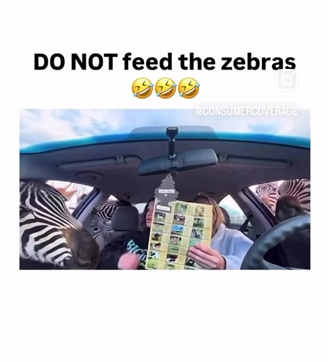 Ms.Boo-Thang (@ms.boothang2)’s videos with original sound - Ms.Boo-Thang