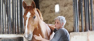 Communication animale : le jour où mes chevaux m’ont « parlé » - Psychologies.com